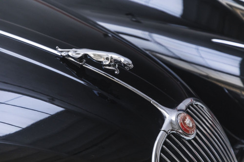 Jaguar XK - Auctomobile_5