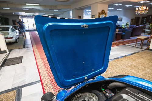 low Alpine A110_5.JPG