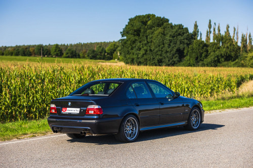 low_BMW M5 E39_18.JPG