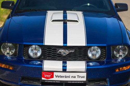 low_Ford Mustang GT_10.JPG