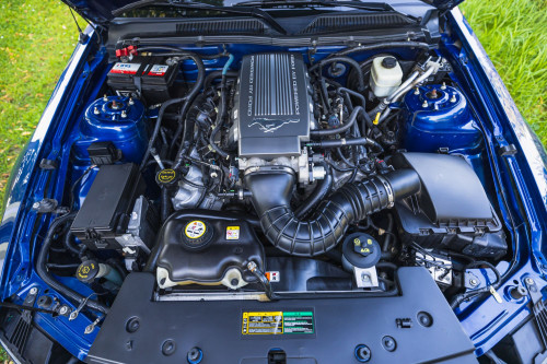 low_Ford Mustang GT_25.JPG