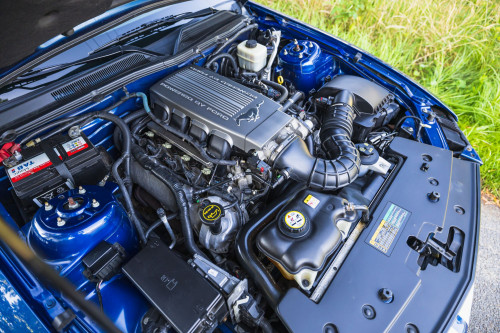 low_Ford Mustang GT_26.JPG