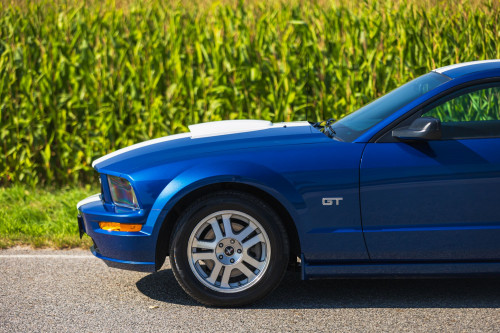 low_Ford Mustang GT_6.JPG