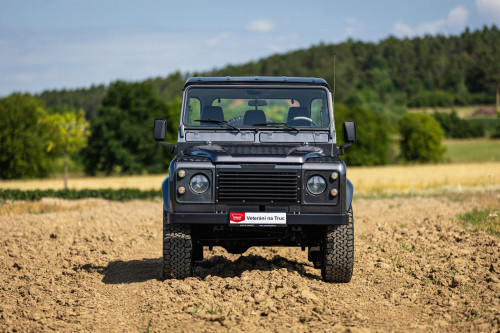 LOW Land Rover 90_69.JPG