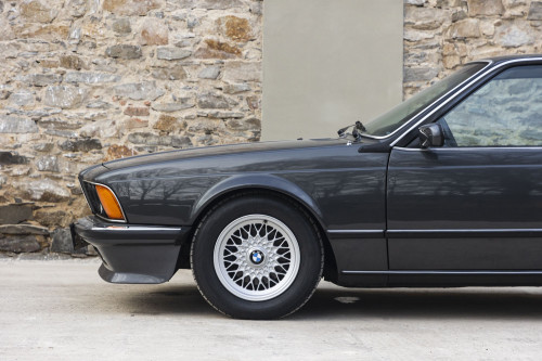 male BMW 635CSi_13