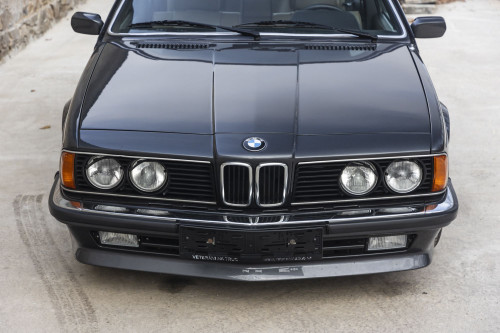 male BMW 635CSi_22