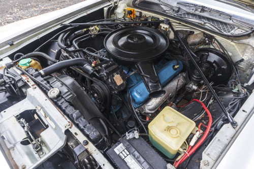 male Chrysler Cordoba_50