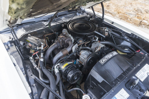 male CHrysler Trans Am Turbo_1