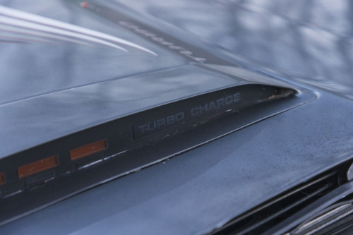 male CHrysler Trans Am Turbo_12