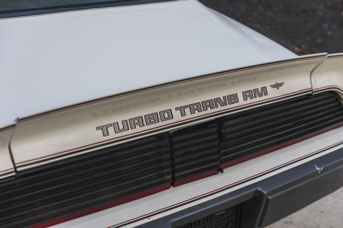 male CHrysler Trans Am Turbo_16