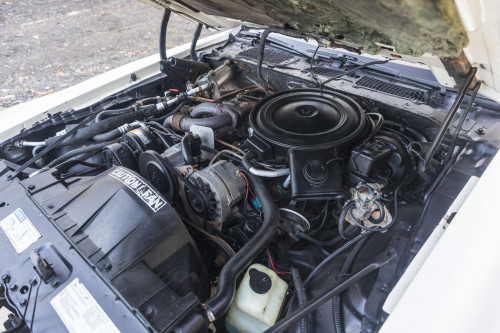 male CHrysler Trans Am Turbo_2