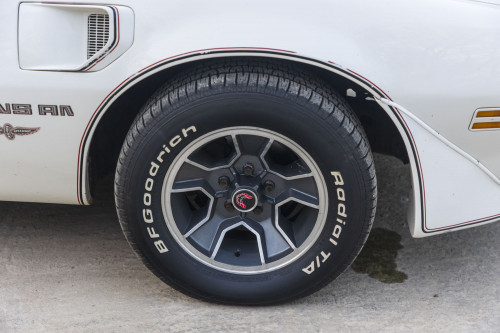 male CHrysler Trans Am Turbo_26