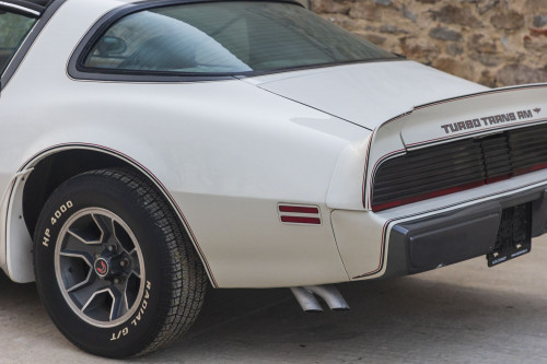 male CHrysler Trans Am Turbo_31