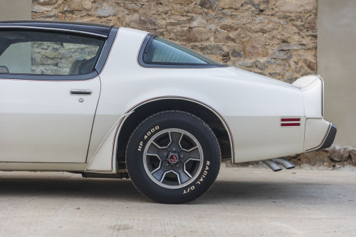 male CHrysler Trans Am Turbo_32