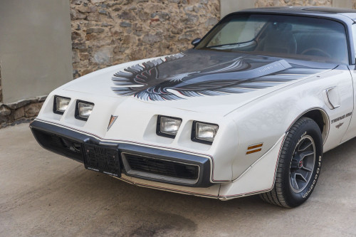 male CHrysler Trans Am Turbo_37