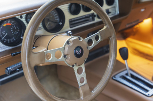 male CHrysler Trans Am Turbo_42