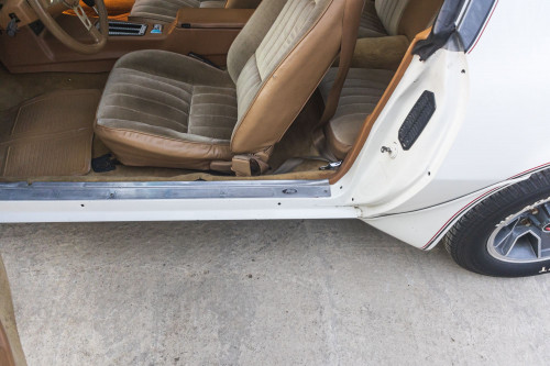 male CHrysler Trans Am Turbo_45