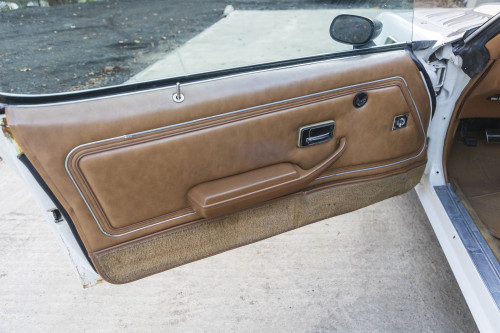 male CHrysler Trans Am Turbo_47