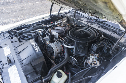 male CHrysler Trans Am Turbo_6