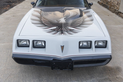 male CHrysler Trans Am Turbo_8