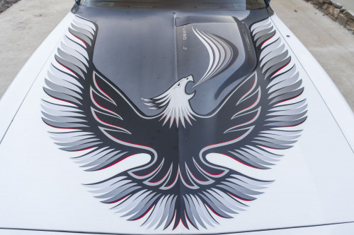 male CHrysler Trans Am Turbo_9