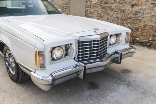 male Ford TunderBird_12