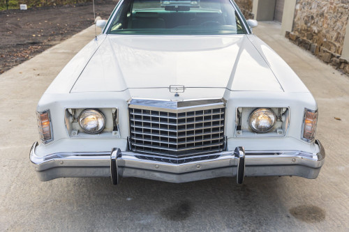 male Ford TunderBird_13