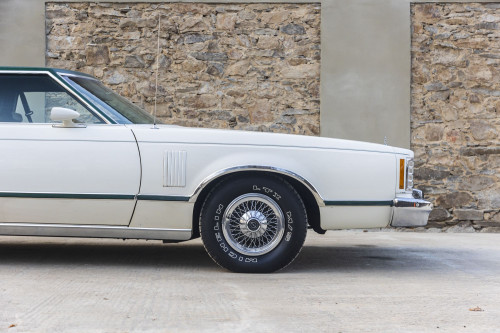 male Ford TunderBird_14