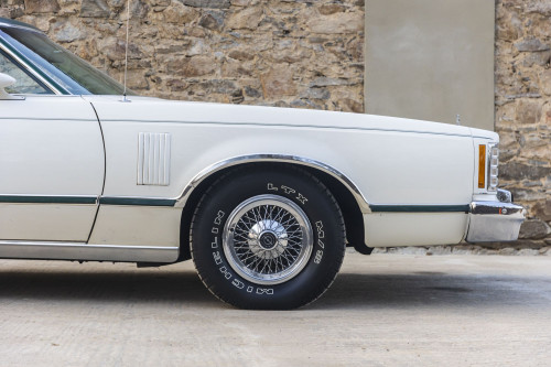 male Ford TunderBird_15