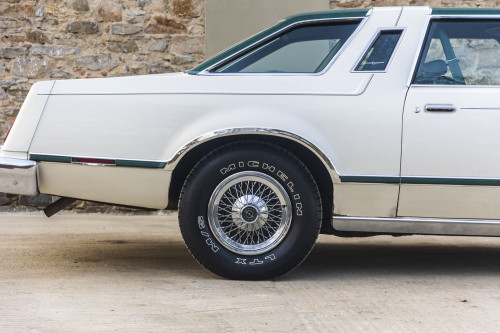 male Ford TunderBird_17