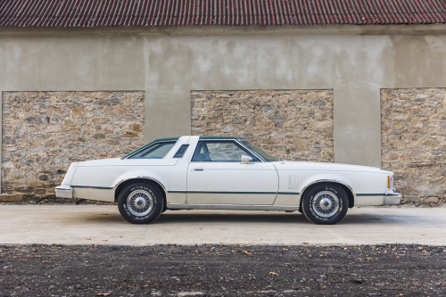 male Ford TunderBird_19