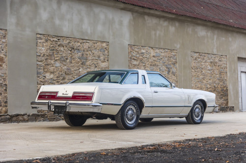 male Ford TunderBird_21