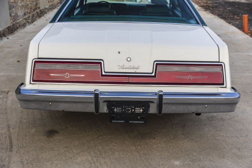 male Ford TunderBird_22