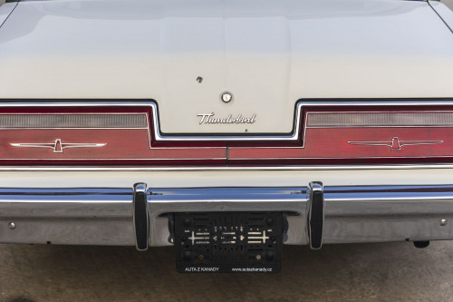 male Ford TunderBird_23