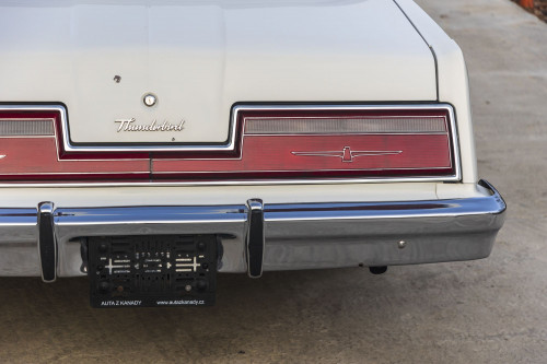 male Ford TunderBird_25