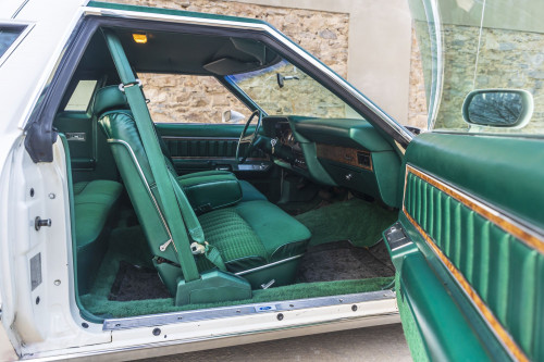 male Ford TunderBird_28