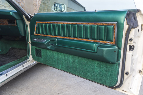 male Ford TunderBird_29