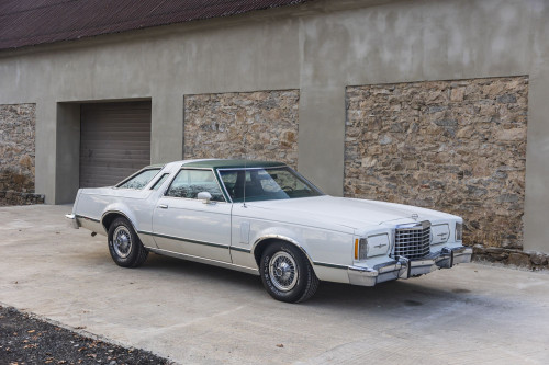 male Ford TunderBird_3