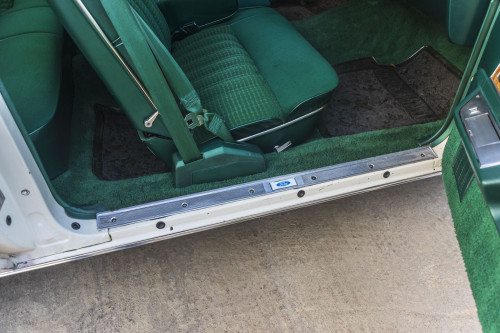 male Ford TunderBird_30