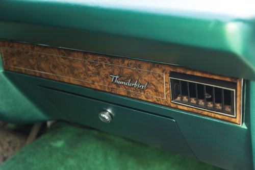 male Ford TunderBird_32