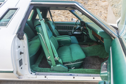 male Ford TunderBird_34