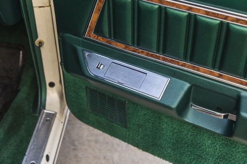 male Ford TunderBird_35