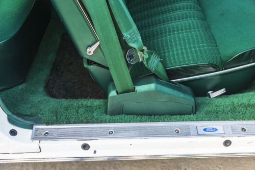 male Ford TunderBird_36