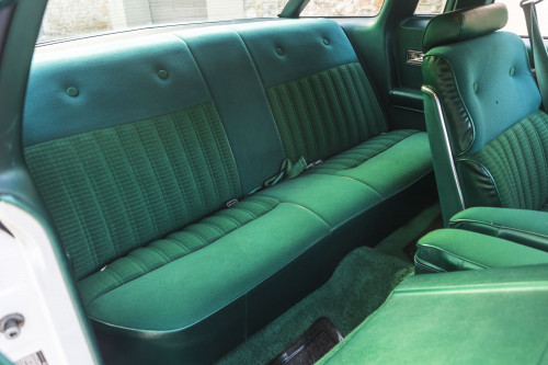 male Ford TunderBird_37