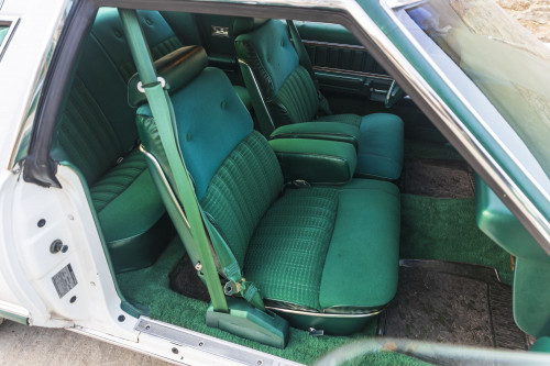 male Ford TunderBird_38