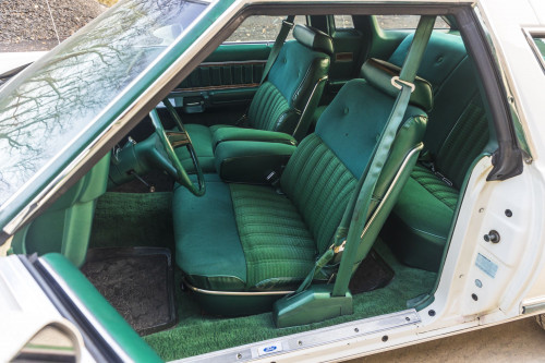 male Ford TunderBird_42