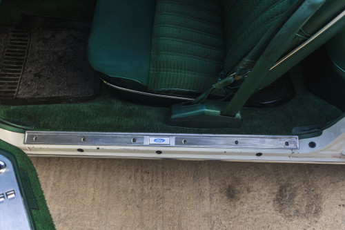 male Ford TunderBird_43