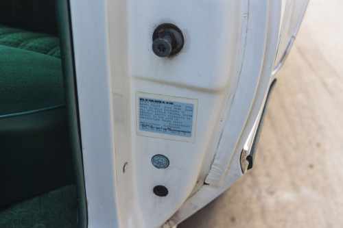 male Ford TunderBird_44