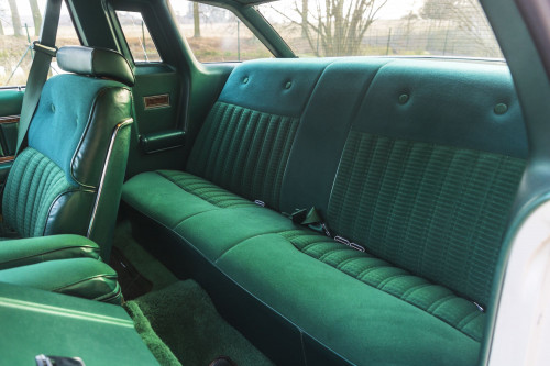 male Ford TunderBird_45