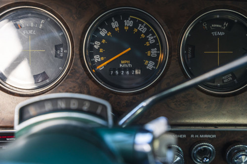 male Ford TunderBird_47